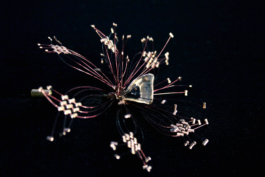  Atelier Fables - joaillerie responsable