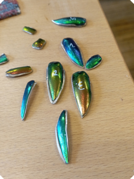 Atelier Fables - joaillerie responsable