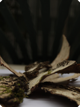 Atelier Fables - joaillerie responsable