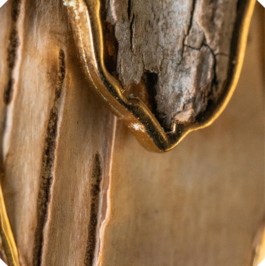 Atelier Fables - joaillerie responsable