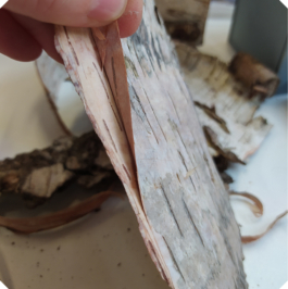 Atelier Fables - joaillerie responsable