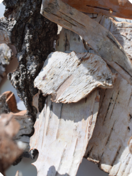 Atelier Fables - joaillerie responsable