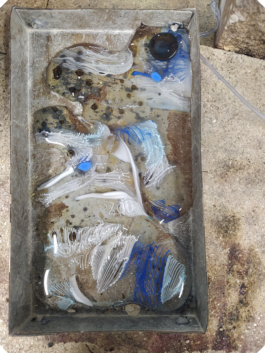 Atelier Fables - joaillerie responsable